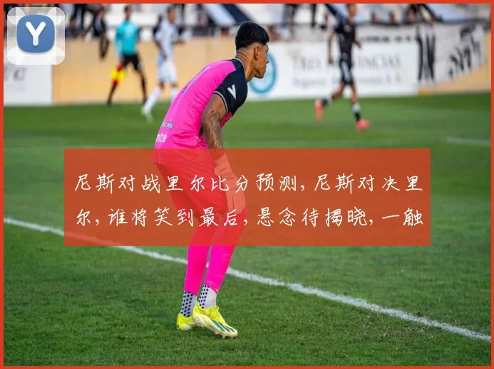尼斯对战里尔比分预测,尼斯对决里尔,谁将笑到最后,悬念待揭晓,一触即发