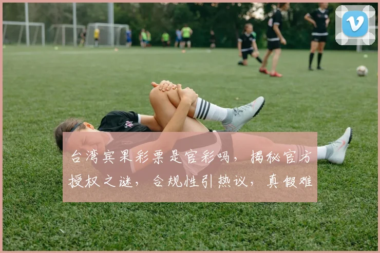 台湾宾果彩票是官彩吗,揭秘官方授权之谜,合规性引热议,真假难辨